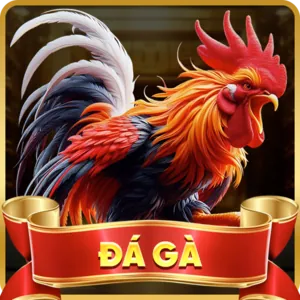 Trải nghiệm trò chơi công bằng và minh bạch trên f1686 app